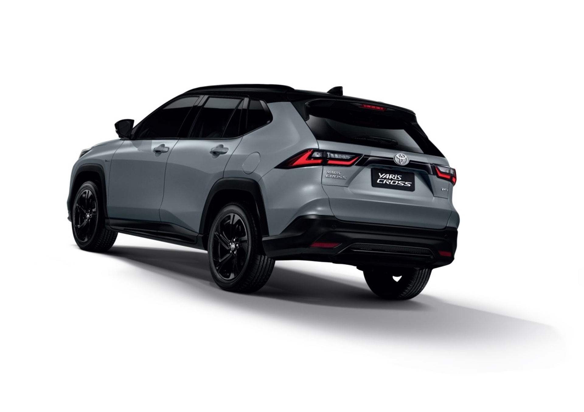 PIC Y-Cross_NightShade Leaflet-08